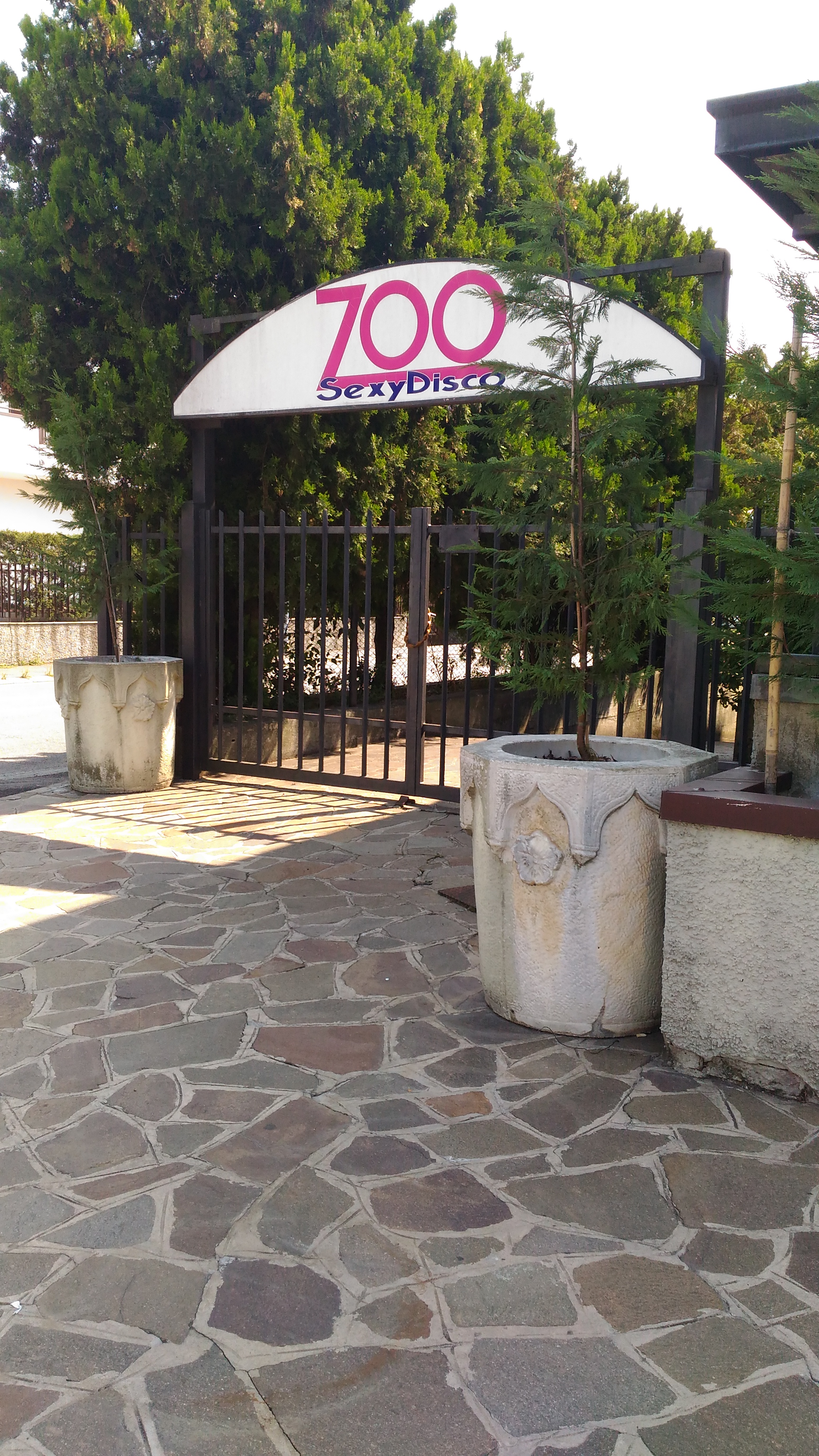 ZOO sexy disco
