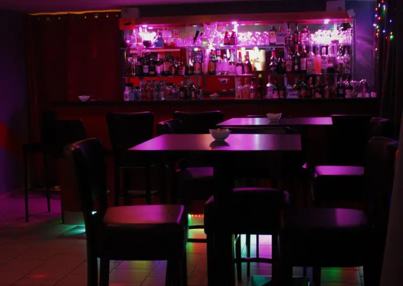 Bar Fly